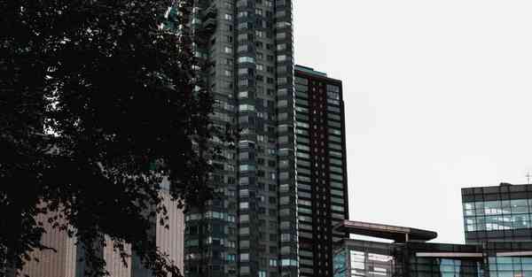 四川专升本真题解析语文