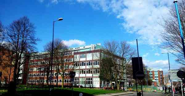 今年四川专升本考什么