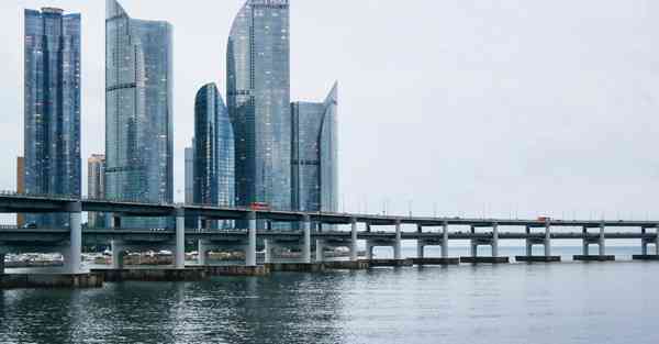 四川专升本的大学专业