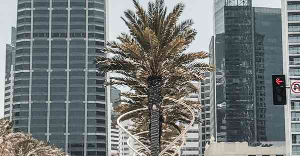 四川电子机械专升本