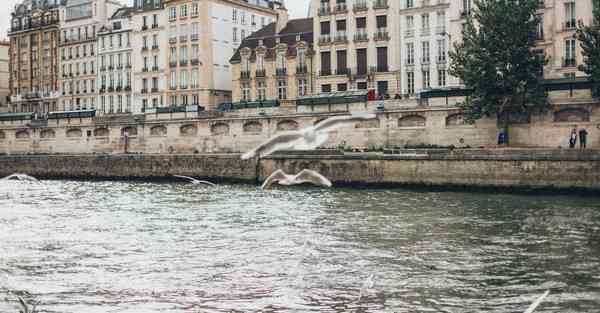 四川专升本大几考英语