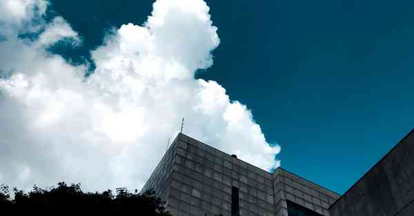 四川省 专升本 年级名次