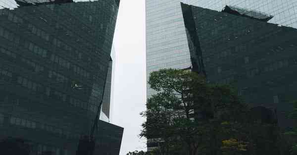 四川综合知识专升本考什么