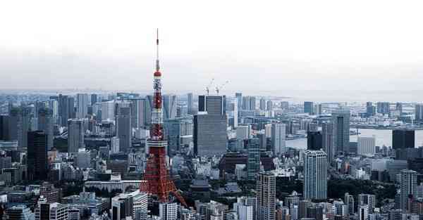 专升本能考四川农大吗