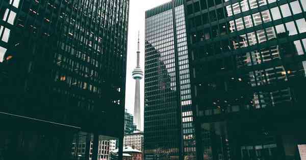 四川临床专升本app