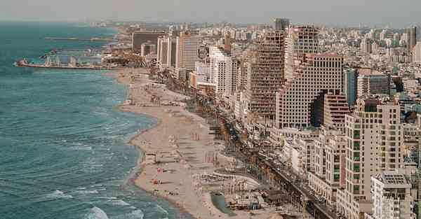 今年四川专升本考什么