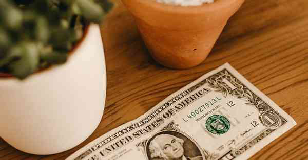 四川语文专升本题型分值