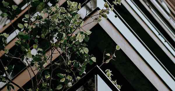 四川专升本网站